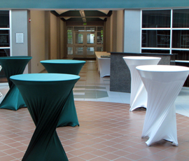 Lansing Wedding Table Rentals